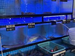 -冯姐生蚝(长隆横琴店)