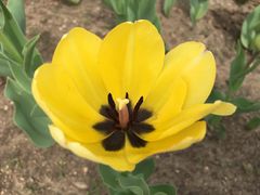 -长春公园(普阳街道)