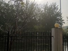 -美玲拉面(鞍山西道店)