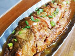 黄焖大鲤鱼-95号酱骨·一块豆腐(展春园西路店)
