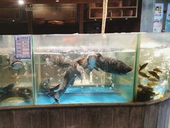 -丹江渔村(首都机场店)