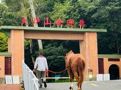 -火炉山森林公园