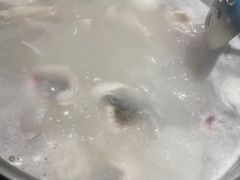 -淘米捞·米汤脆鲩鱼火锅(福田皇岗店)