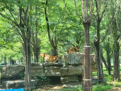 -秦皇岛野生动物园