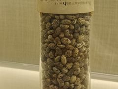 -广东中医药博物馆