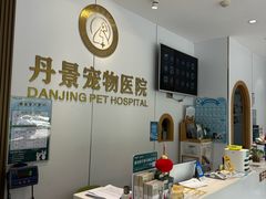 -丹景宠物医院·全科·老年病·牙科(武昌诊疗中心)