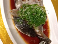 -广州塔晖粤轩中餐厅