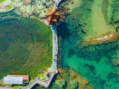 -靖西鹅泉风景区