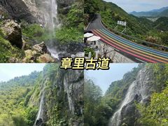 -老李家土菜馆·安吉地标美食