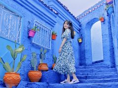 -三圣花乡旅游区