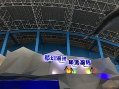 -泉城欧乐堡海洋极地世界
