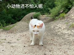 -北京凤凰岭