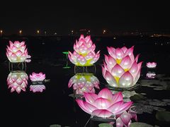 -荷塘月色湿地公园·向阳花洲