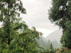 -大围山国家森林公园