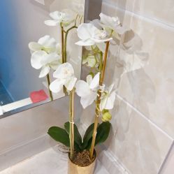 -MIDA蜜哒•科技逆龄美肤连锁