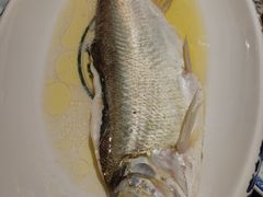 -南京大牌档(龙湖长楹天街店)