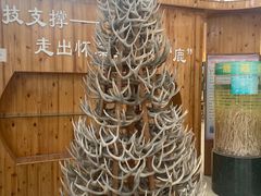 -北京鹿世界主题园