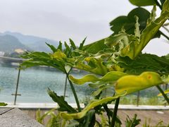 -海兰云天度假区温泉