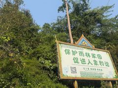 -野象谷景区