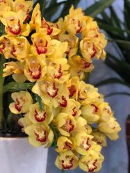 -Oasis Beauty水磨坊科技美肤中心