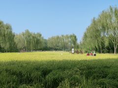 -北坞公园