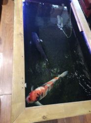店内环境-鳌首刺青纹身 穿孔饰品店
