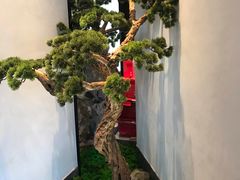 -松鹤楼·非遗·苏帮菜(融科店)
