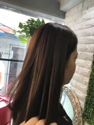 -红人馆造型十添