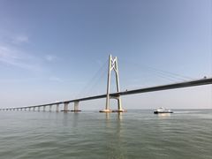 -招商蛇口邮轮母港(观光客运)