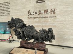 -武汉园博园(武汉自然博物馆)