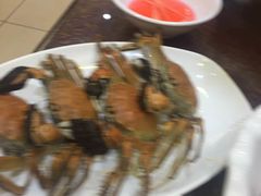 -海岛八号龙虾烧烤田鸡(蓝天路总店)