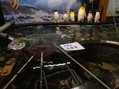 -海鮮市場長崎港(出島ワーフ店)