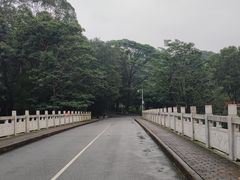 -番禺大夫山森林公园