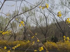 -南翠屏公园