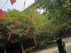 -勇士之星真人CS·团建·拓展(清水河公园店)