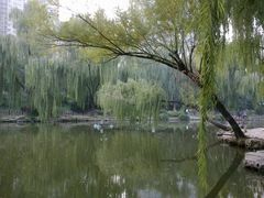 -紫竹院公园冰场