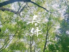 -上海滨江森林公园