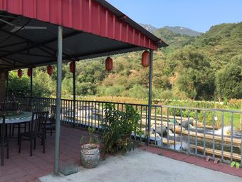 要评价|人均 -采摘/农家乐|渤海镇/慕田峪长城推荐菜:烧烤地道仙峪山