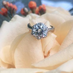 -钻石小鸟钻戒婚戒定制(石路店)