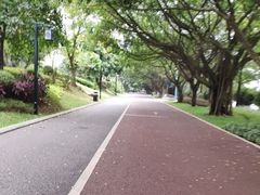 -南宁南湖公园