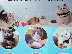 -lincat·猫舍(广州店)