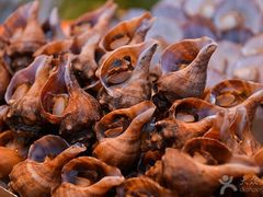 -富力希尔顿酒店·地阔自助餐厅