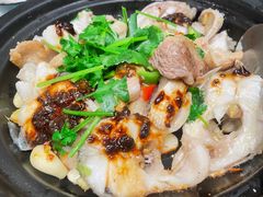 古法花腩葱油焗鲈鱼-常来小聚·广州非遗传承餐厅(高德置地店)