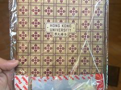 -香港大学