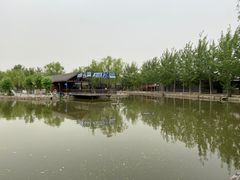 -杨柳青庄园