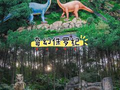 -佛冈森波拉度假区