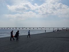 -南汇嘴观海公园