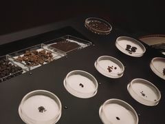 -湖北省博物馆