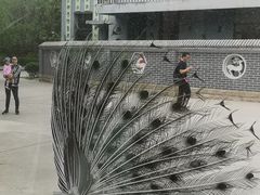 -北京麋鹿生态实验中心