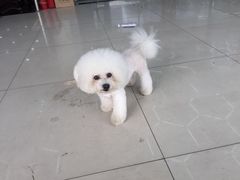 -康乐宝动物医院